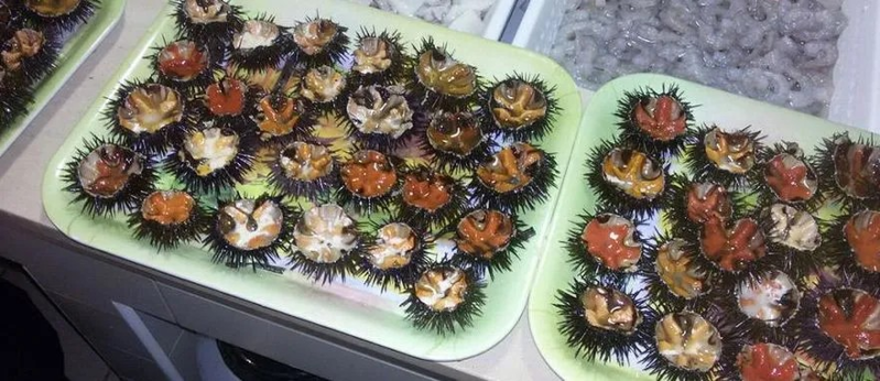 Images Friggo & Mangi