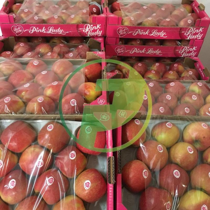 Images Patti Food Ingrosso Alimentare