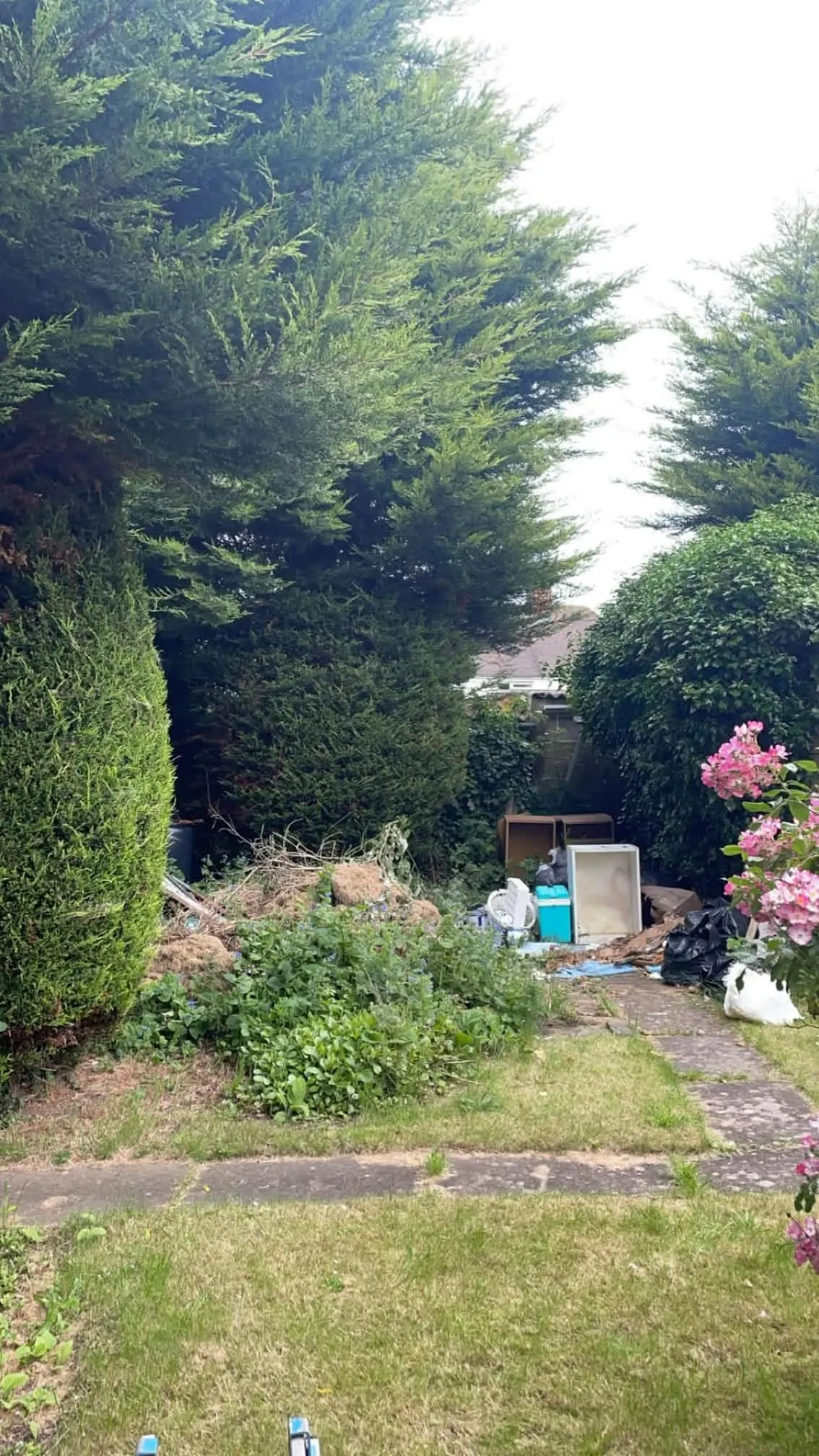 Images Oakwood Tree & Landscaping Services