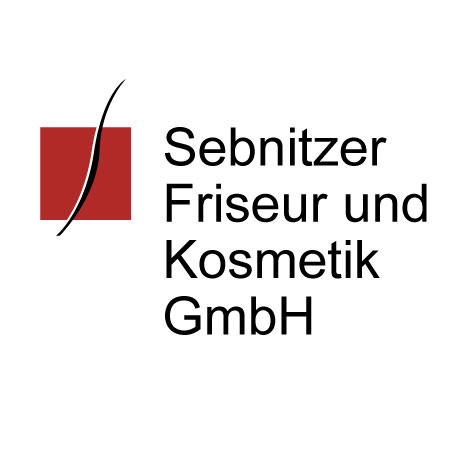 Logo Sebnitzer Friseur und Kosmetik GmbH ,,Ihr Friseur''