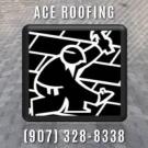 ACE Roofing, LLC - North Pole, AK 99705 - (907)328-8338 | ShowMeLocal.com