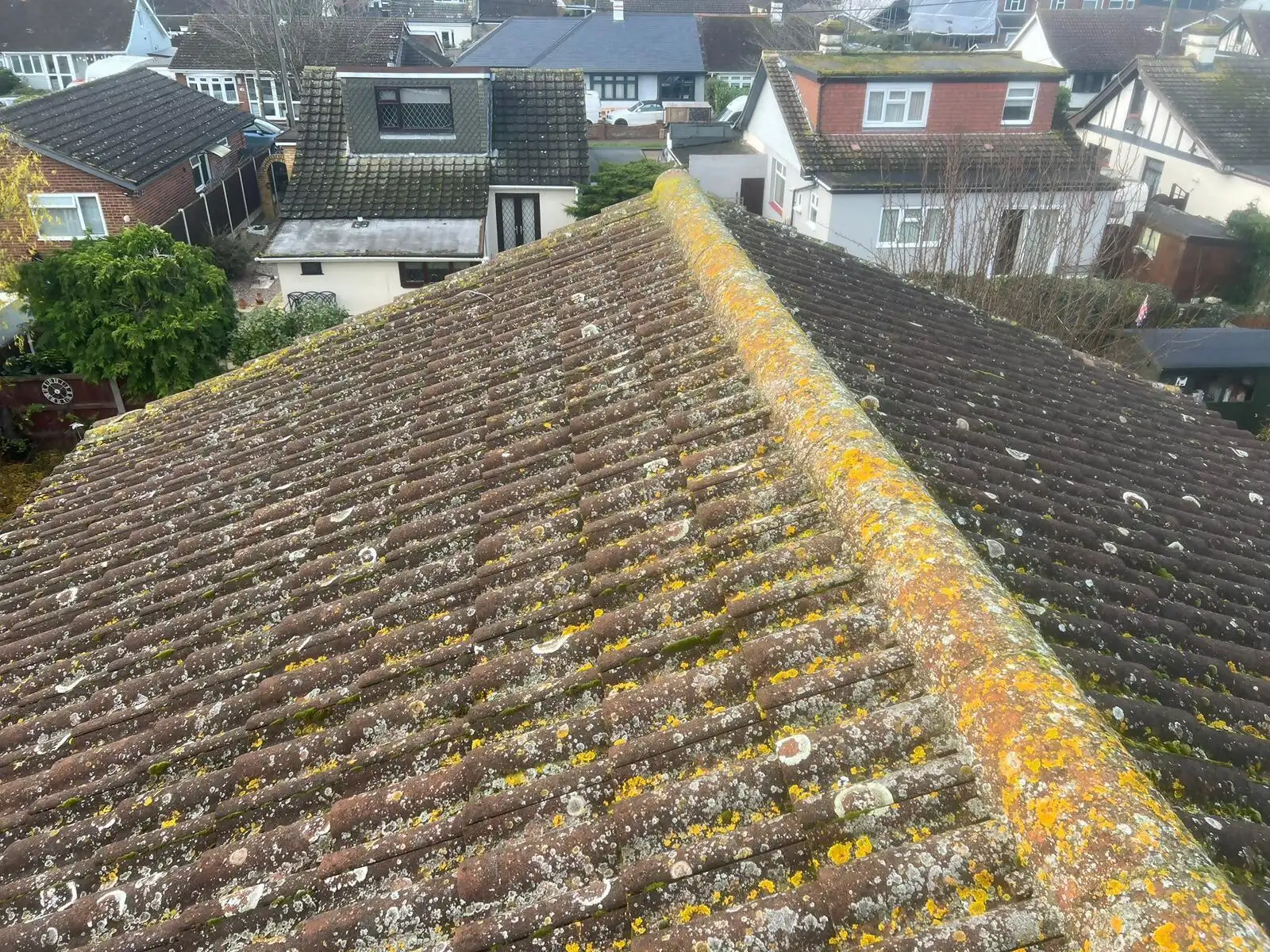 Images Exclusive Property Care