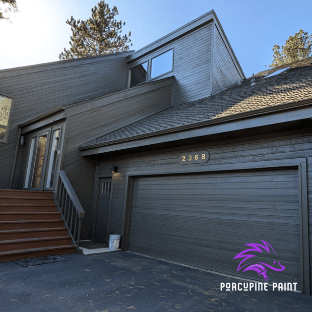 Images Porcupine Paint