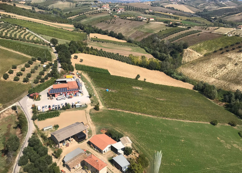 Azienda Vitivinicola La Quercia