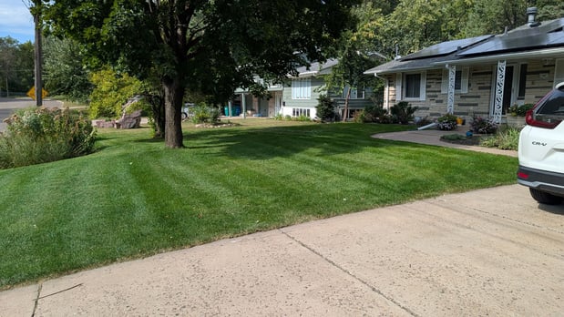 Images Pristine Lawn Care