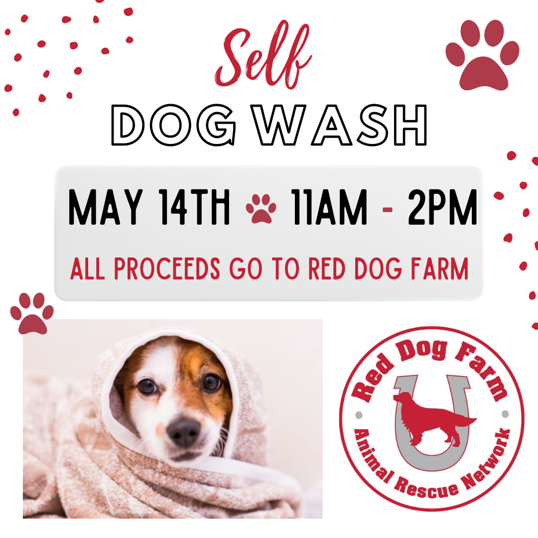 Pet Food Supply Store Greensboro NC All Pets Considered