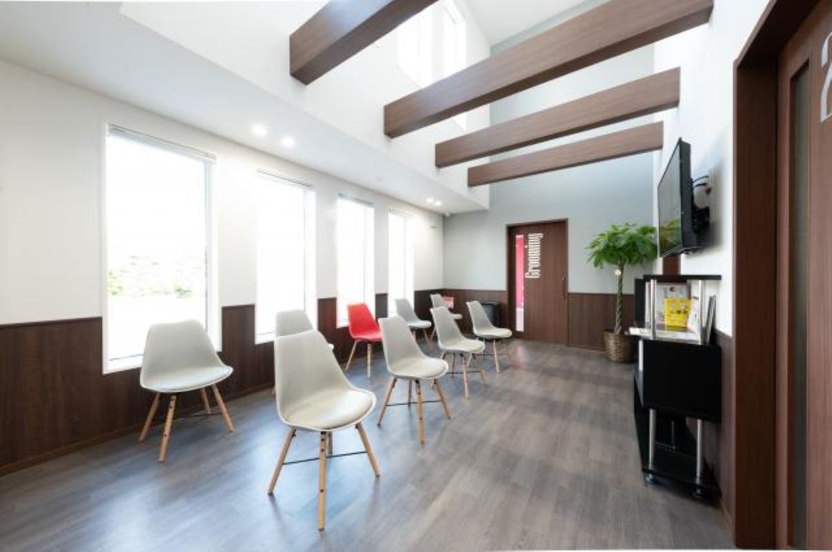 Images アイリス動物医療センター