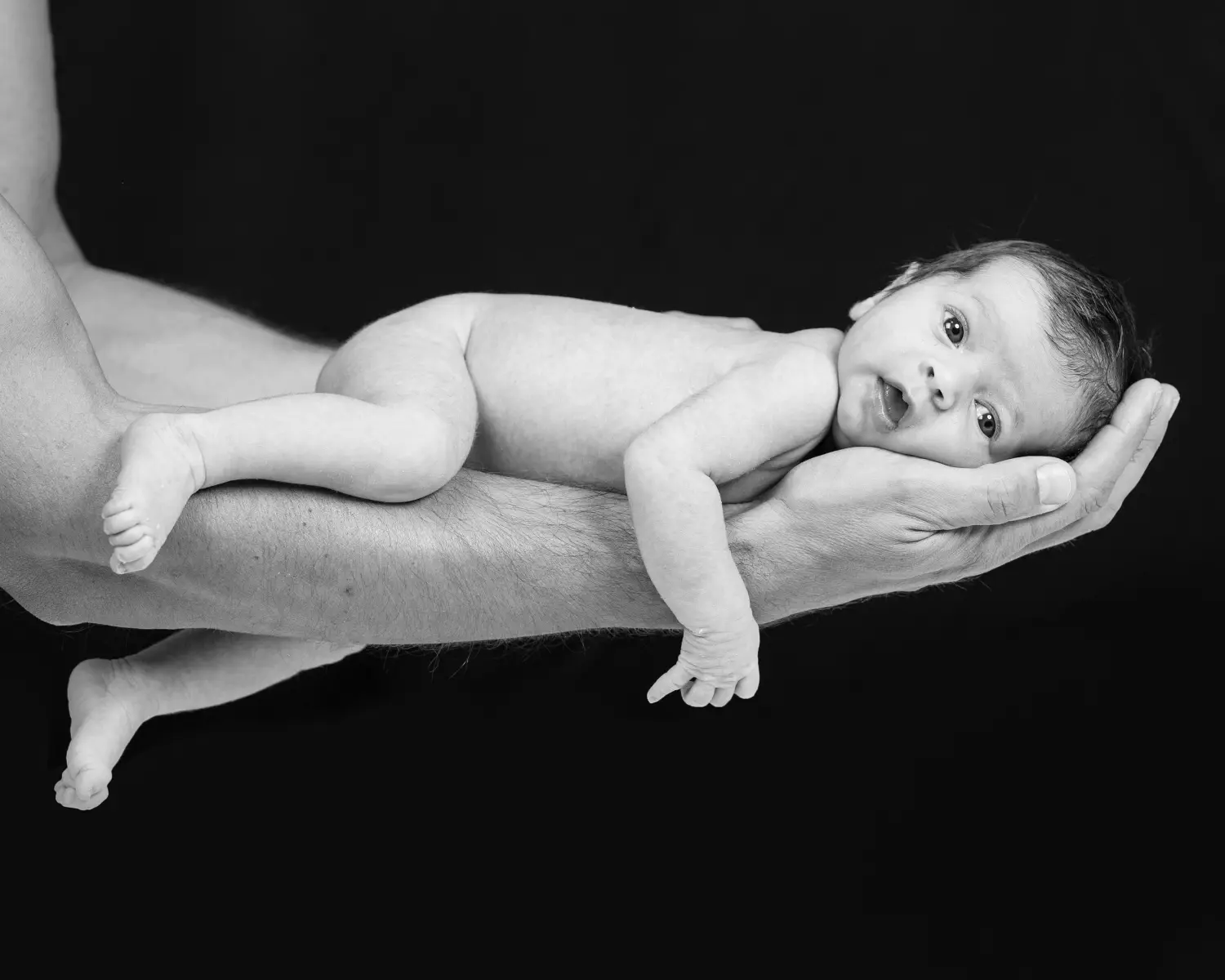 aspectfoto Augsburg - Fotografie für Privat und Gewerbe, Landsberger Straße 43A in Augsburg