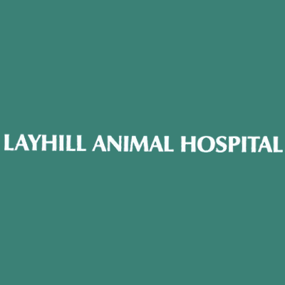 Layhill Animal Hospital - Silver Spring, MD 20906 - (301)598-7300 | ShowMeLocal.com