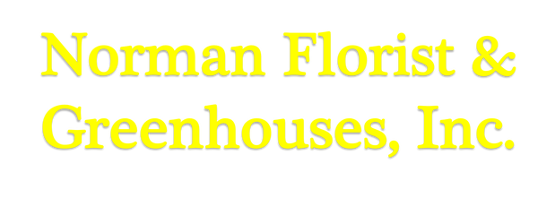 Images Norman Florist & Greenhouses, Inc.