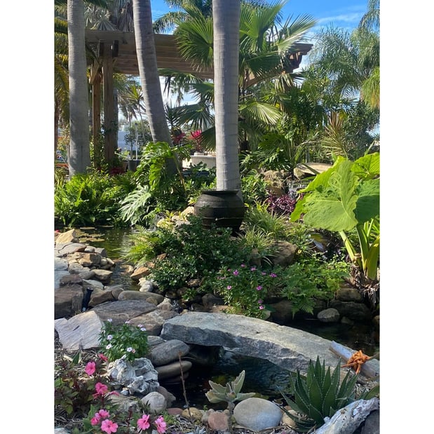 Images Terra Nova Nursery & Gardens