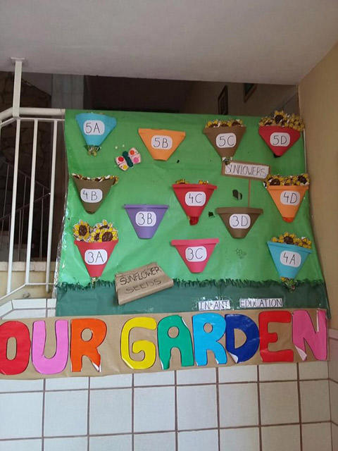 Images Colegio Pureza De María