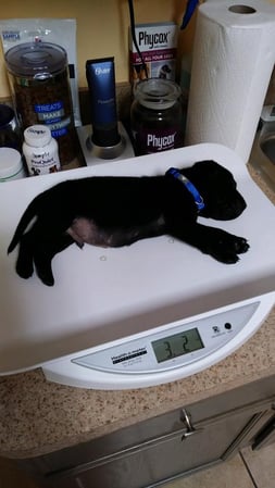 Images Manatee Veterinary Clinic