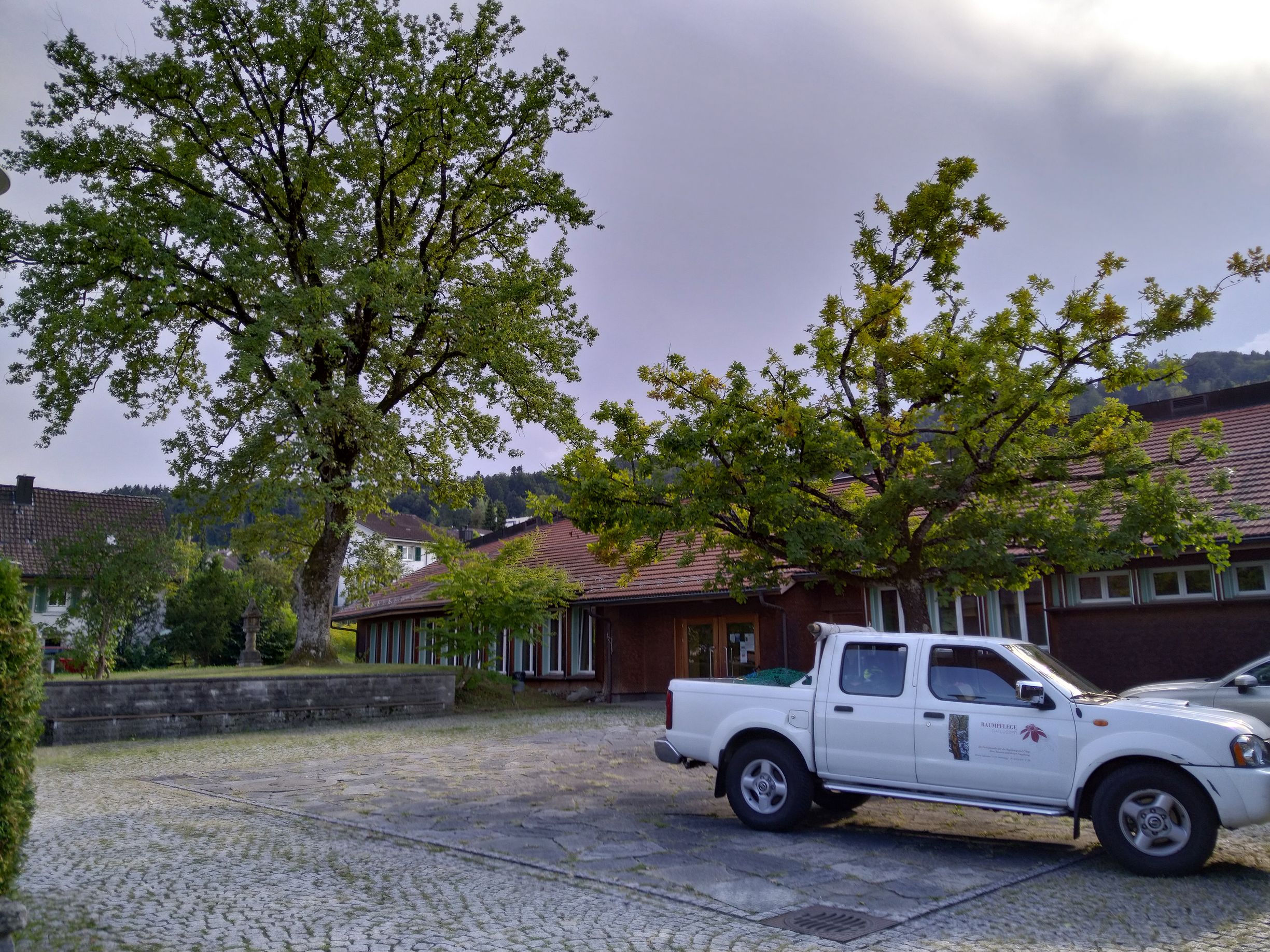 Baumpflege-Gallusser, Bergstrasse 3 in Hinteregg