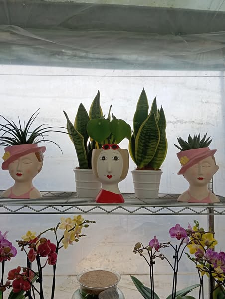 Images Gaia Garden Vivaio