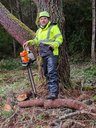 Images Ventura Tree Service