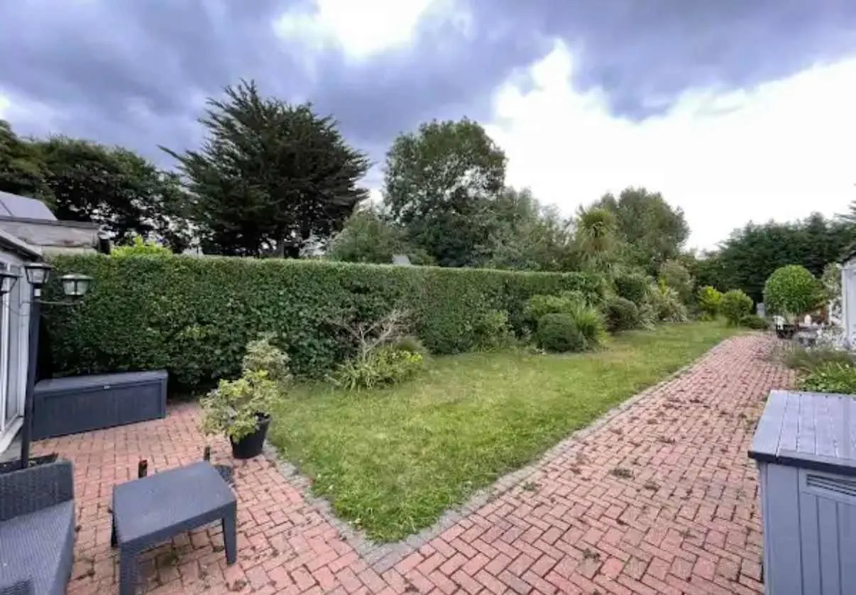 Images Tree Doctors & Landscaping