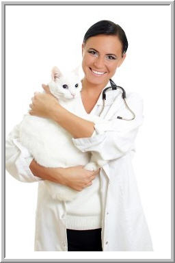 Bergenline Animal Hospital (201) 854-7330 veterinarian