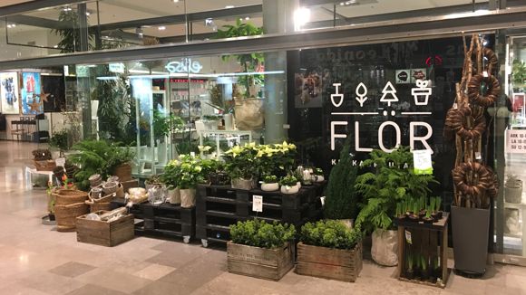Images FLÖR Skanssi