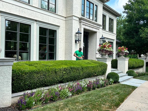 Images Emerald Oasis Landscape Group