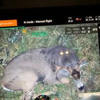 Images Aerovision Drone LLC