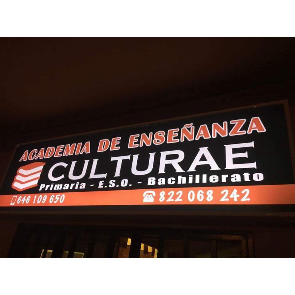 Academia de Enseñanza Culturae Logo