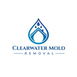 Clearwater Mold Removal