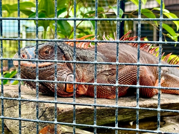 Images Brent Maudlin - State Farm Insurance Agent