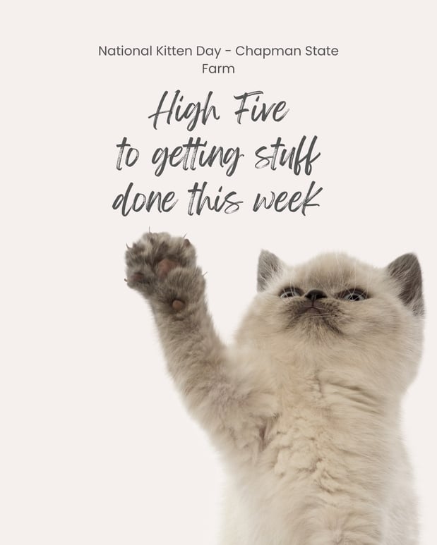 Images Teresa Chapman - State Farm Insurance Agent