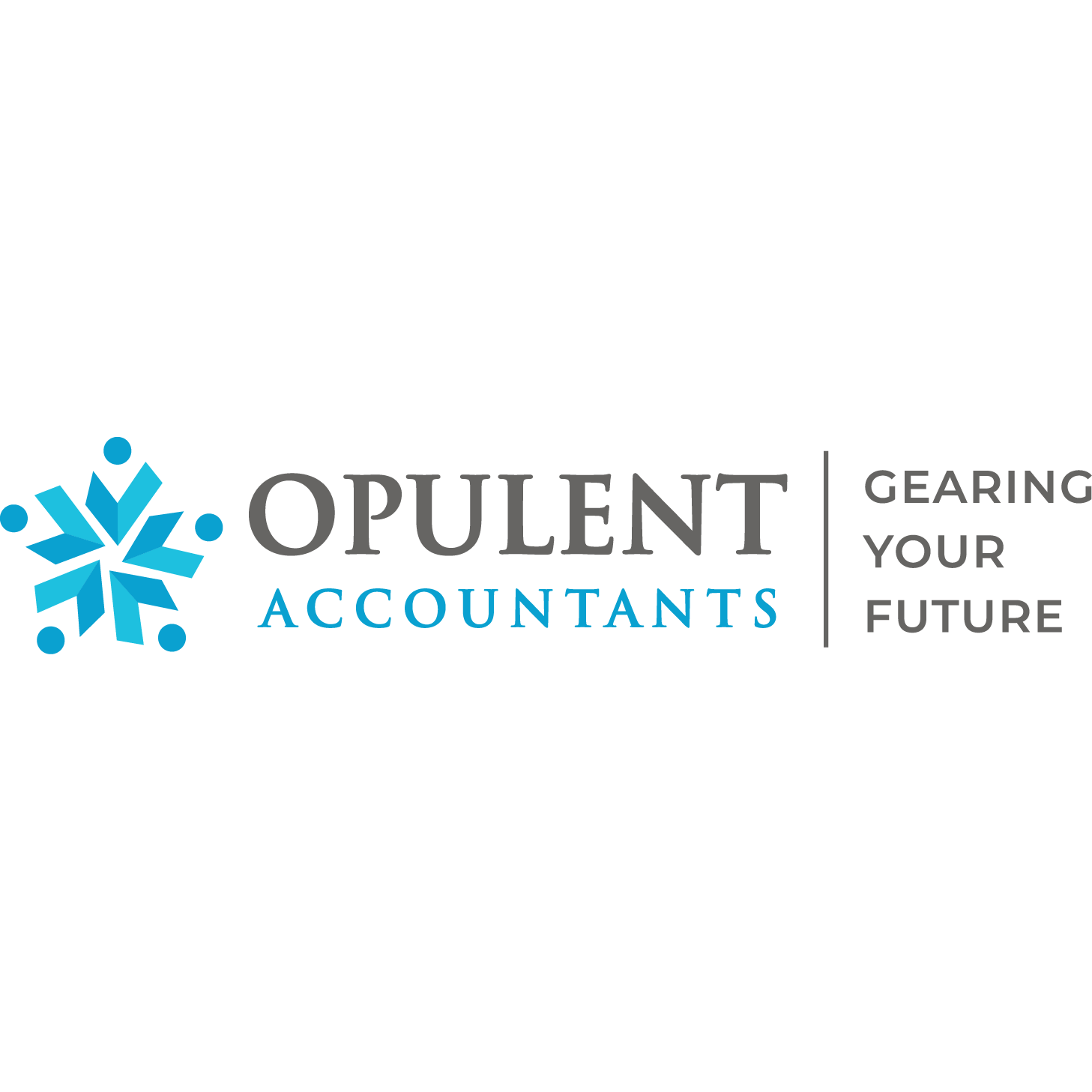 Opulent Accountants - Business Accountants and Tax Agents - Glen Waverley and Mount Waverley Logo