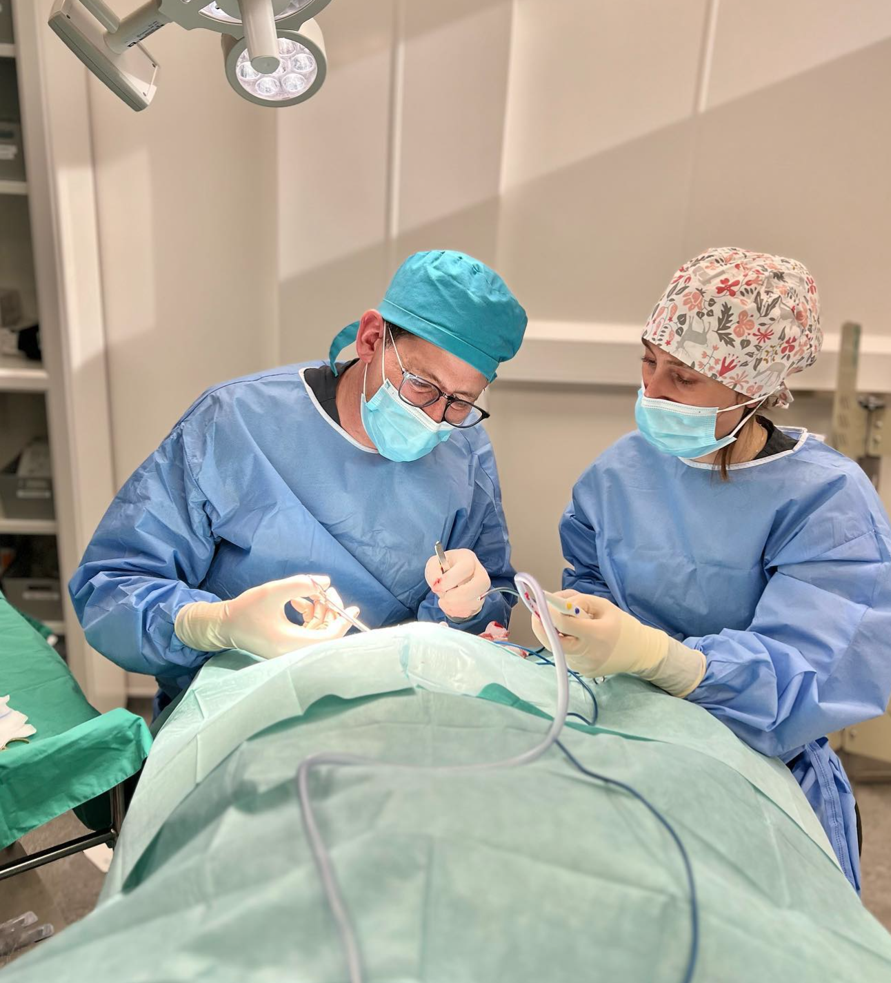 Images Pet People Vets - East Sheen