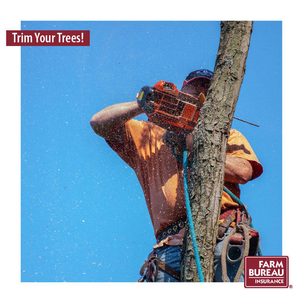 Images Farm Bureau Insurance