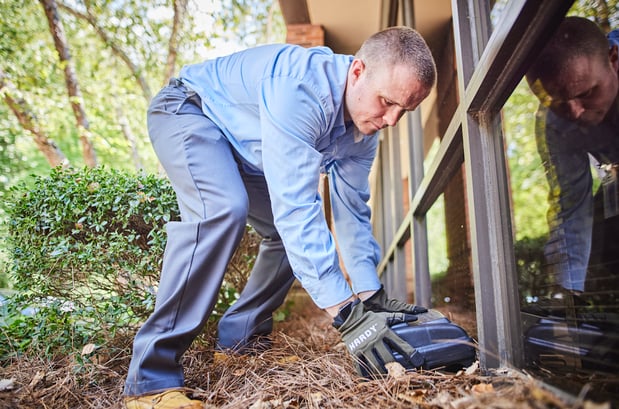 Images Anthem Pest Control