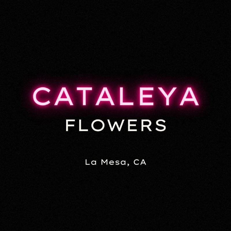 Elida’s Flower and Gift Boutique - La Mesa, CA 91942 - (619)439-6210 | ShowMeLocal.com