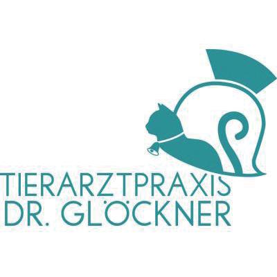 Dr. Sophie Glöckner Tierarztpraxis in Stockstadt am Main - Logo