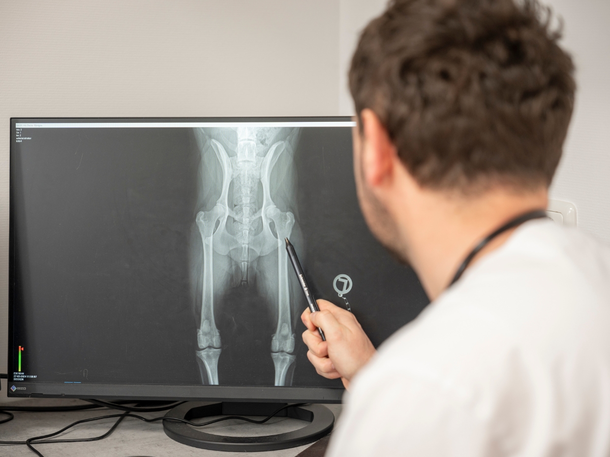 Bilder Tierarzt Limeshain, Kleintierzentrum Kilb&Team