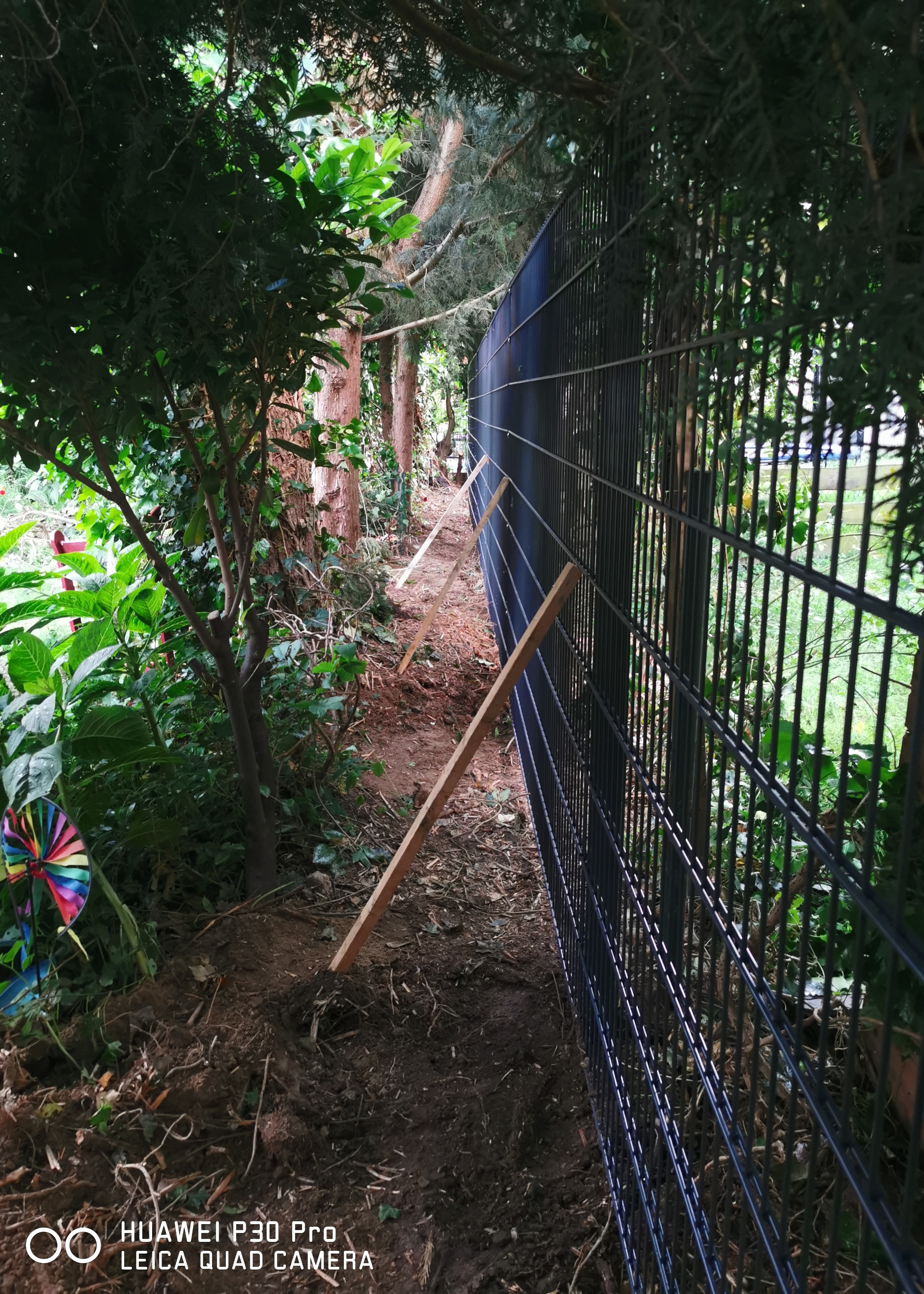 Garten & Landschaftsbau +Baumfällungen Tobias Matthiesen, Bischof-Peters-Strasse 26B in Nettetal