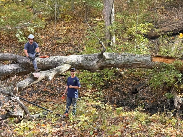 Images Taylor's Tree & Landscaping