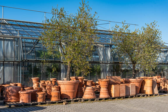 Images Azienda Agricola Florovivaista Toscogarden