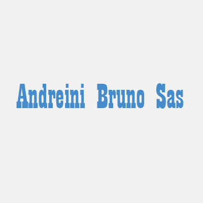 Andreini Bruno Sas Logo