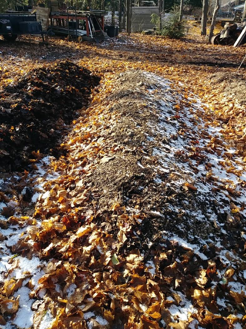 Images Canopée Service d'Arboriculture
