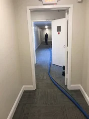 Brand Carpet Care Logo