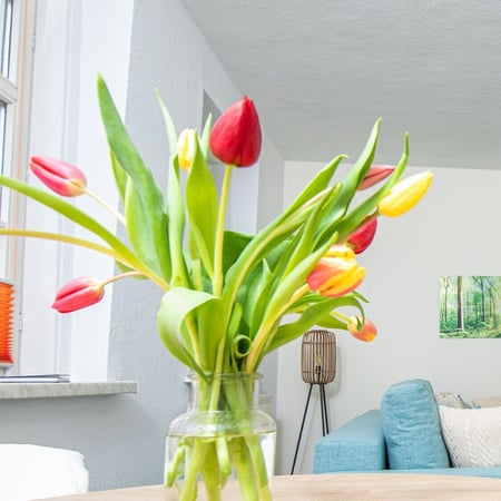 Bilder Rennsteig Apartment Ruhla
