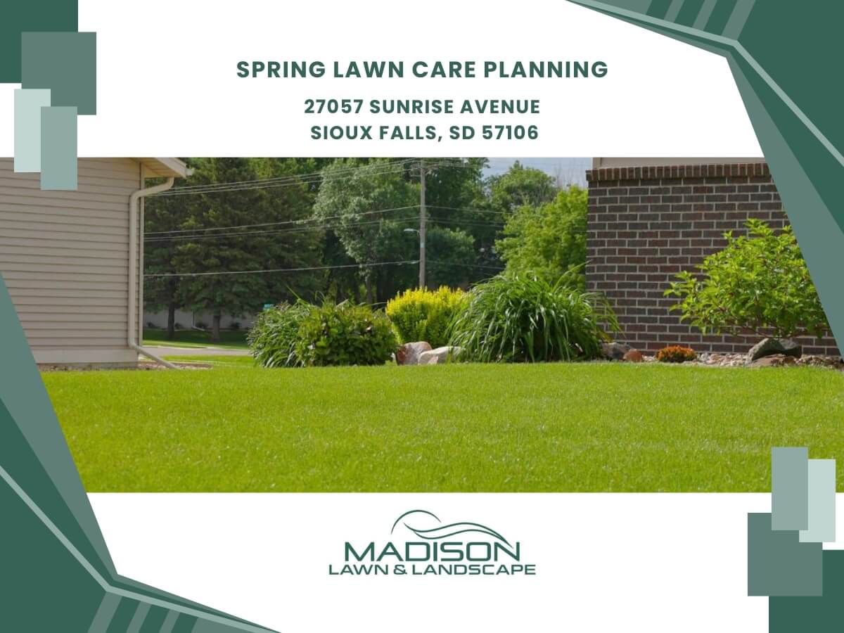 spring lawn care planning