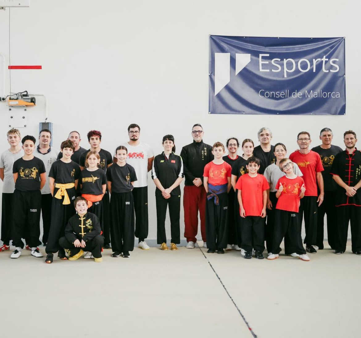 Images Escuela De Wushu/kung Fu Jingwu