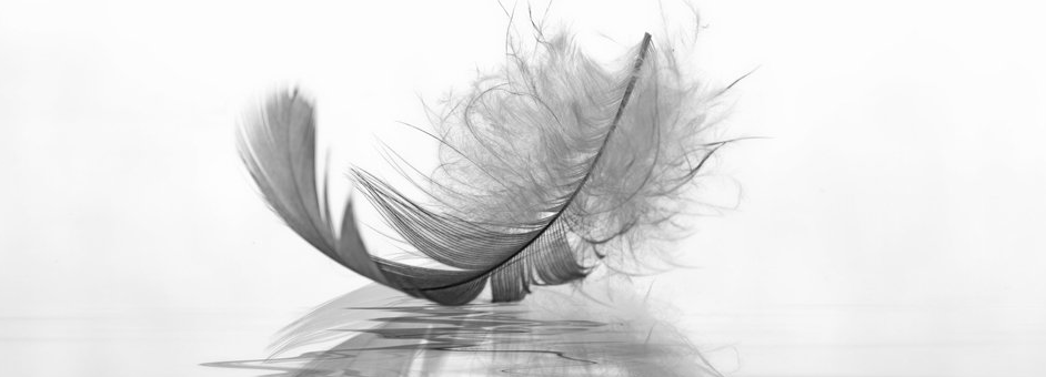 Singer Bettwaren, Zeltweg 71 in Zürich