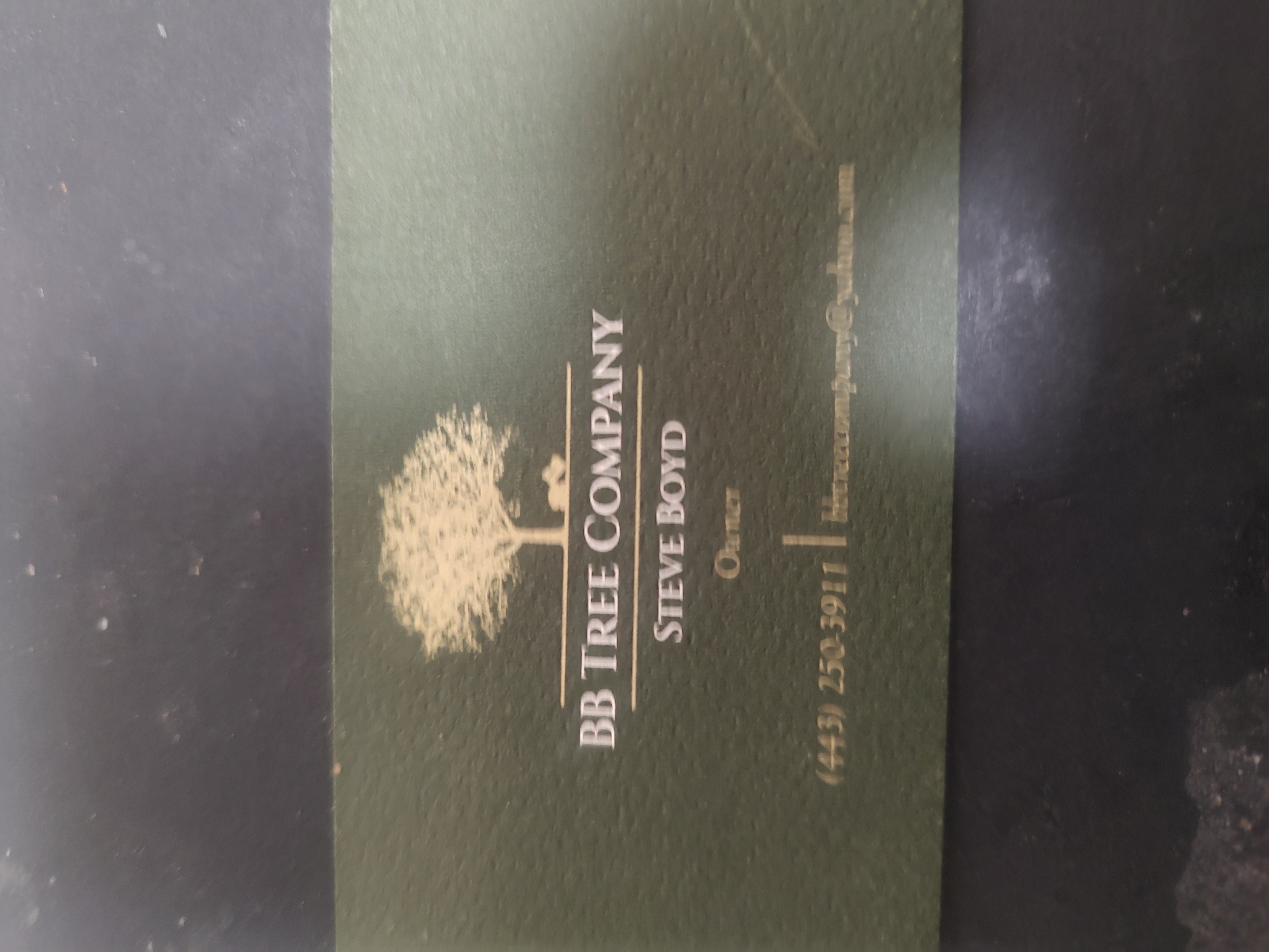 BB Tree & Landscape Company Image