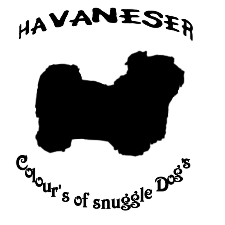 Havaneser Colour’s of Snuggle Dogs in Ursberg - Logo