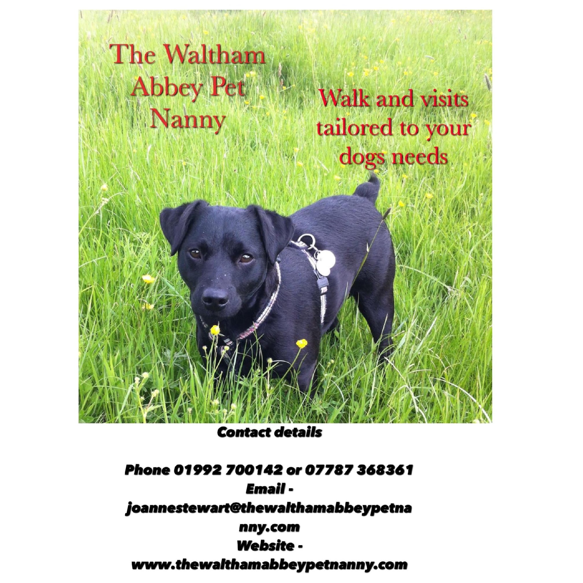 The Waltham Abbey Pet Nanny Logo