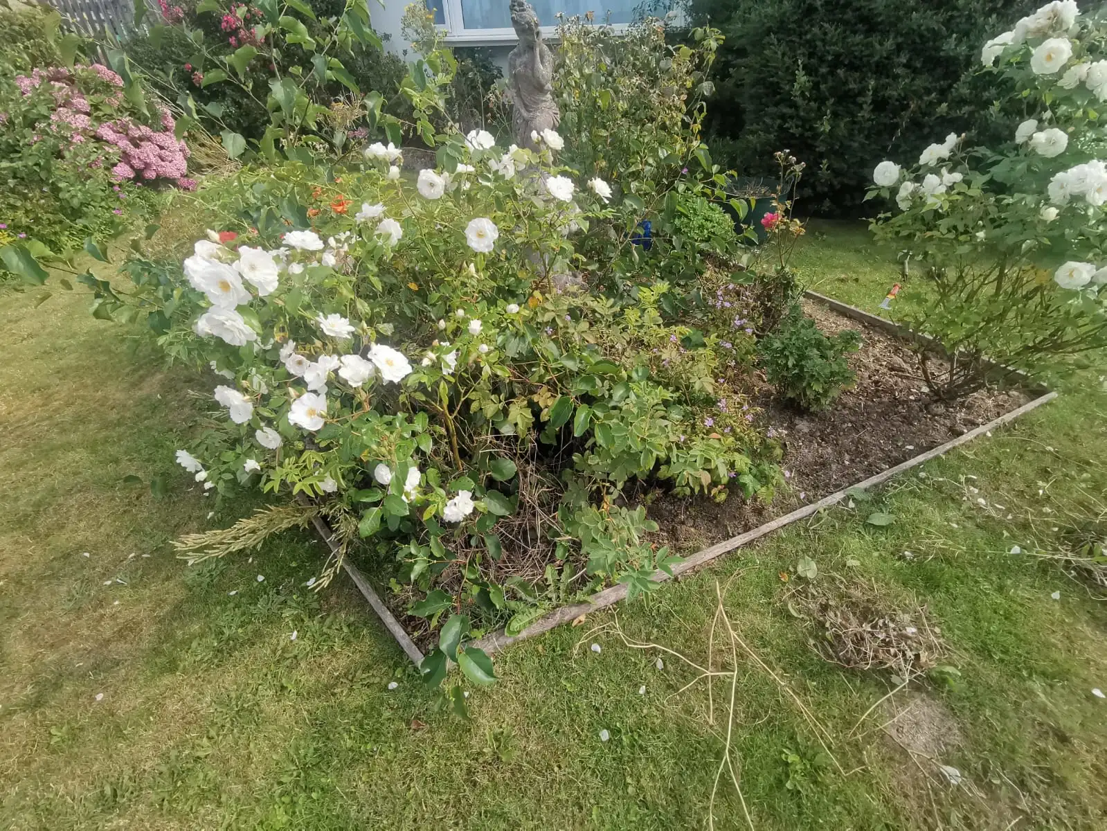 Images Prostyle Gardening & Home Services